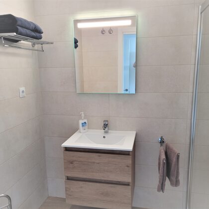 Bathroom with normal and rain shower.